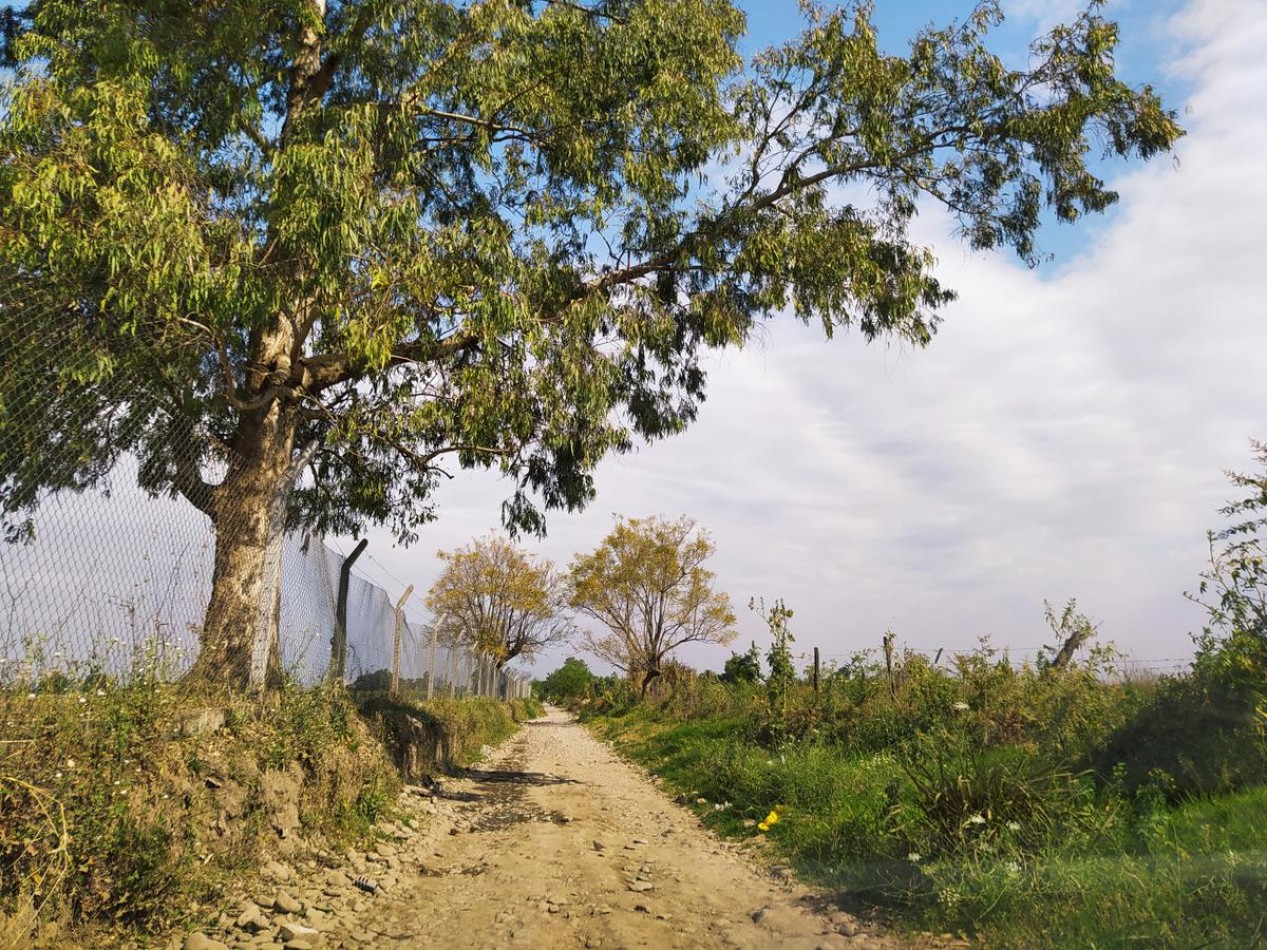 Terreno 3800 m2 c/ Escrituras Ideal p/ Loteo o Empr. Comercial