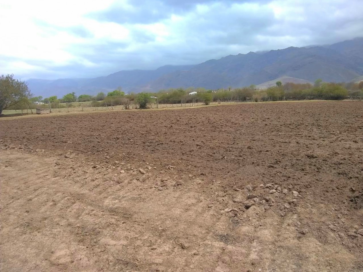 Terreno de 6556 m2 Arroyo Los Morales ( La Ovejeria) Tafi del Valle