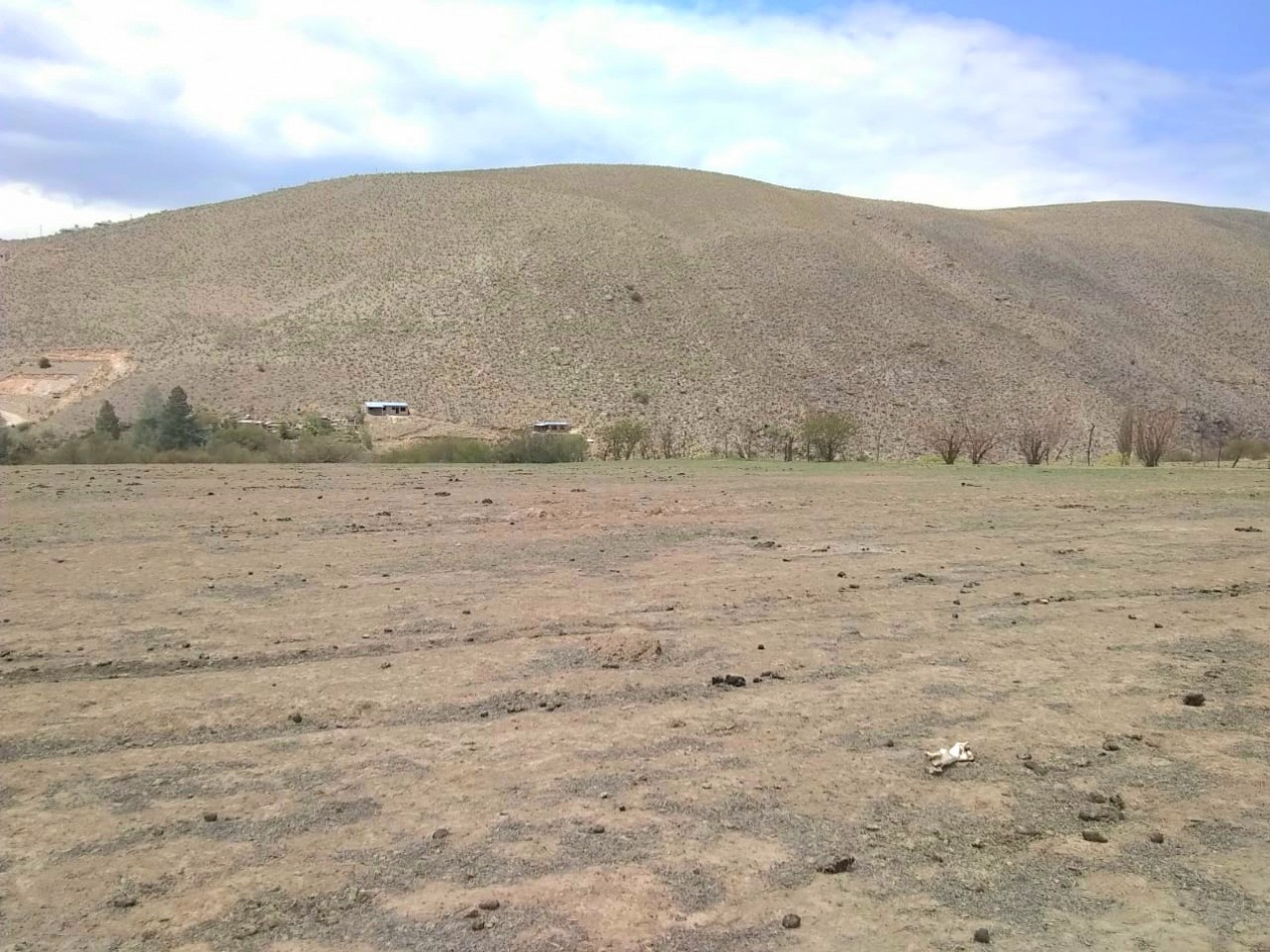 Terreno de 6556 m2 Arroyo Los Morales ( La Ovejeria) Tafi del Valle