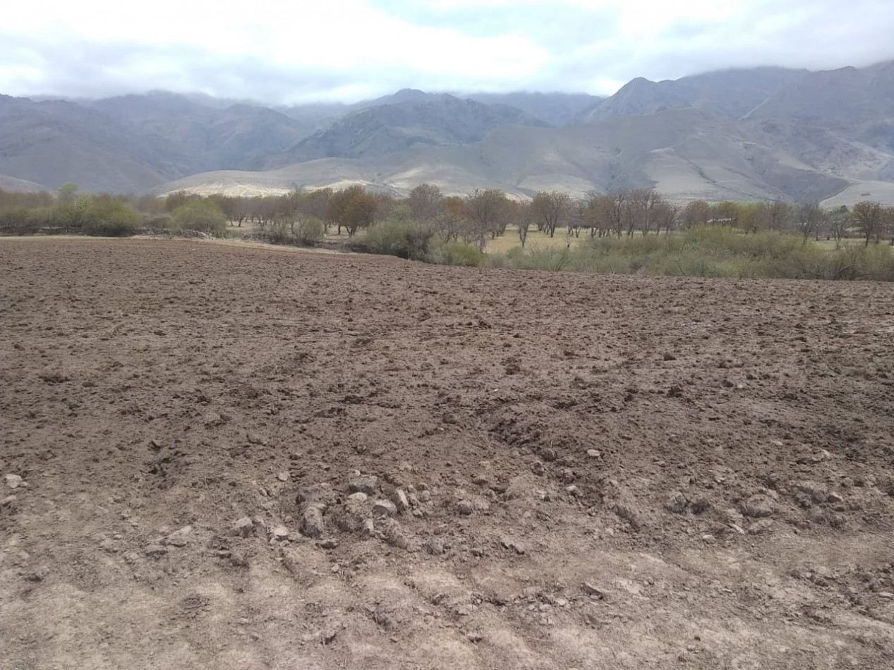 Terreno de 6556 m2 Arroyo Los Morales ( La Ovejeria) Tafi del Valle