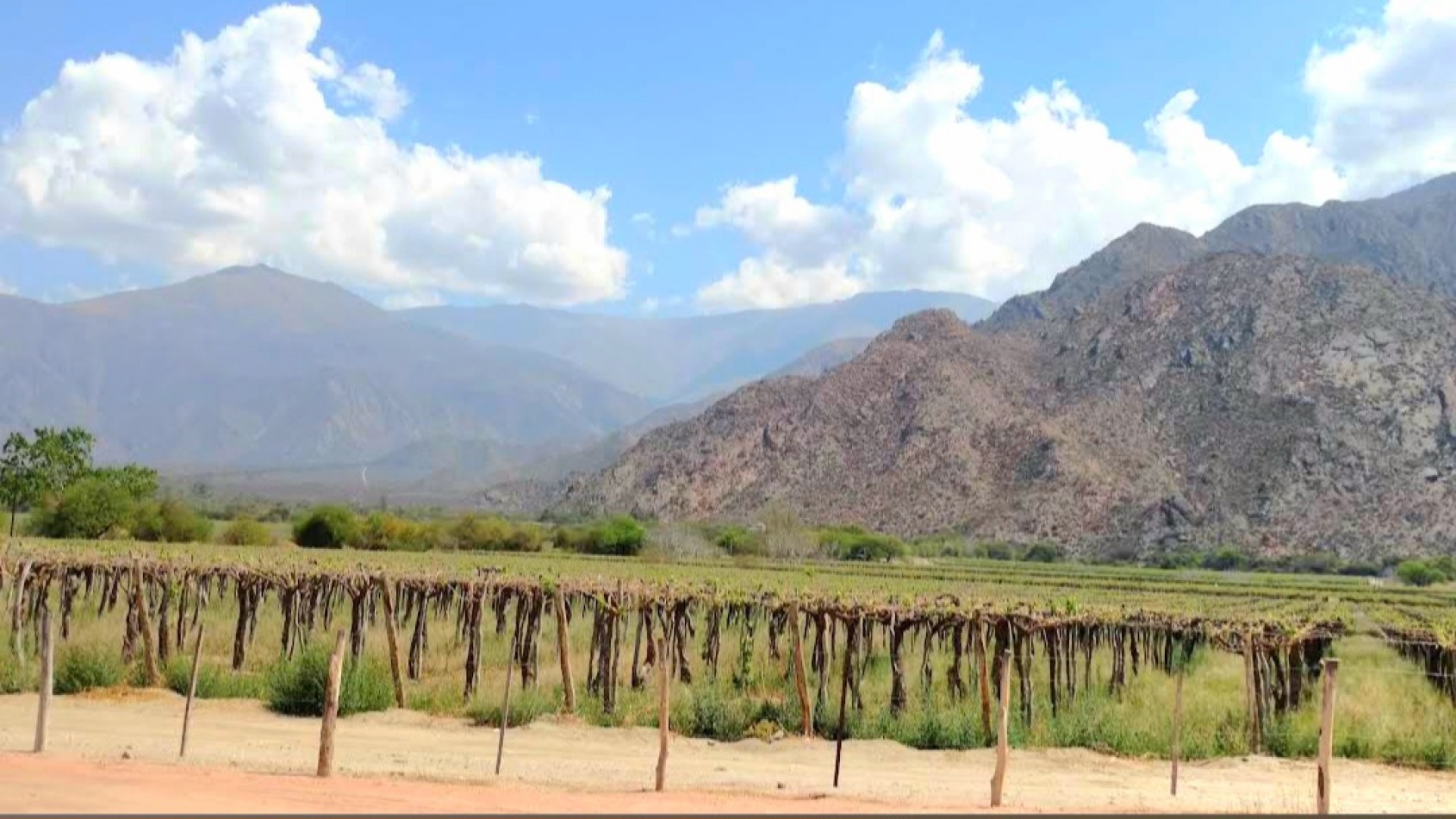 Colalao del Valle - Terreno de 9000 m2- Zona de Viñedos