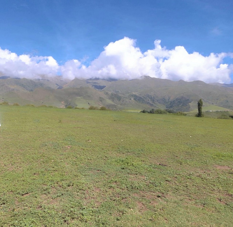 Terreno de 6556 m2 Arroyo Los Morales ( La Ovejeria) Tafi del Valle