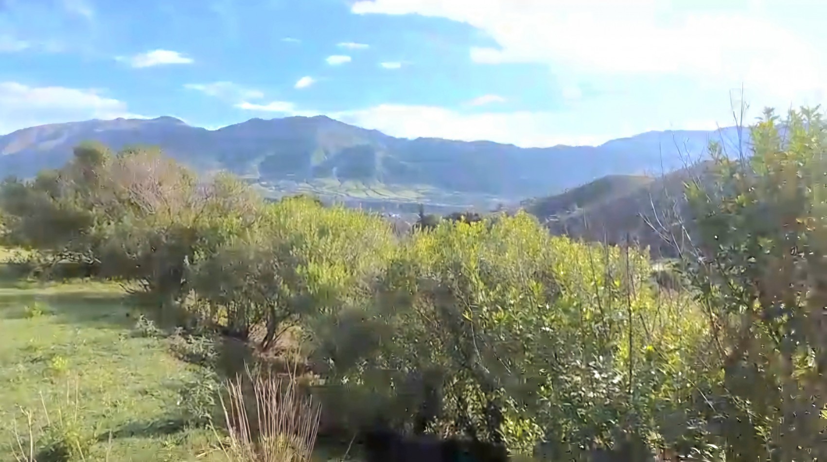 Terreno de 6556 m2 Arroyo Los Morales ( La Ovejeria) Tafi del Valle