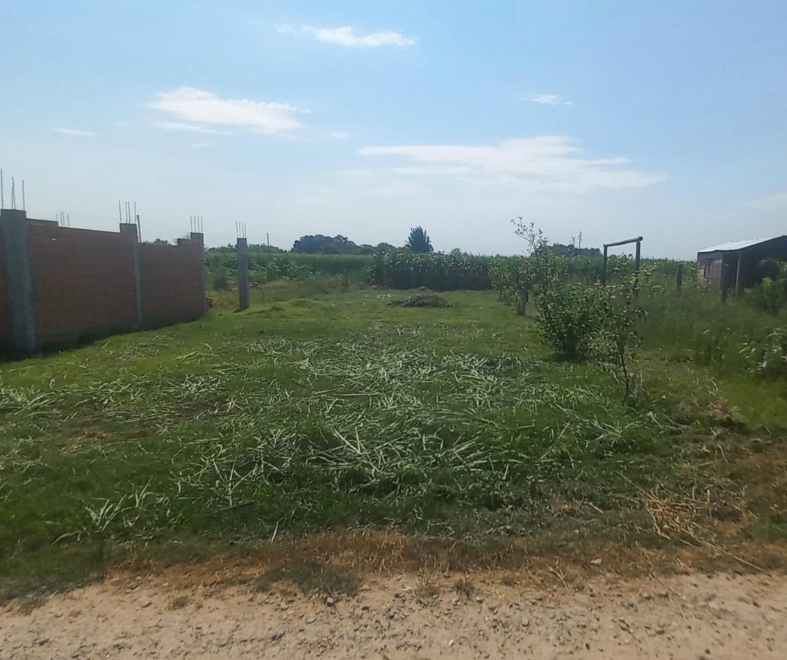 Mancopa Terreno de 11 x 30 Nivelado